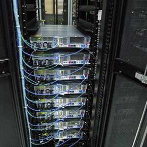 双鸭山案例展示